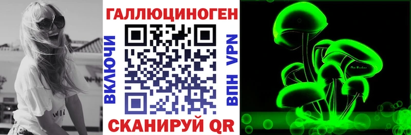 Псилоцибиновые грибы Psilocybe  гидра как войти  Стародуб  где продают  